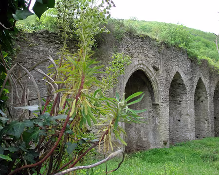 P4290164 ruines locales