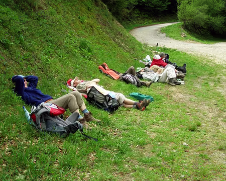 P5010407 Les troupes au repos