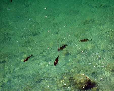 File 056 Les seuls qui sont au frais