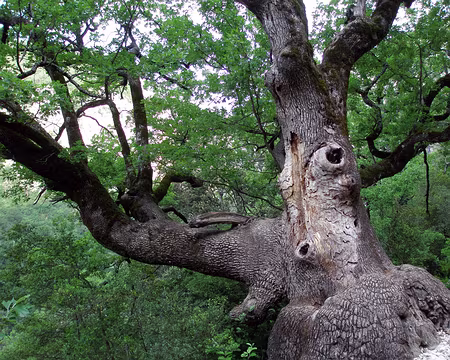 File 072 Très vivant.