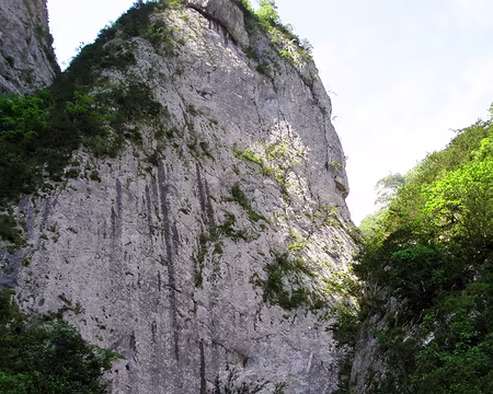 P6090063 Cela commence à devenir sérieux