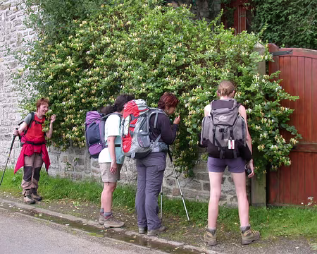 20 Mais que font les participantes ???