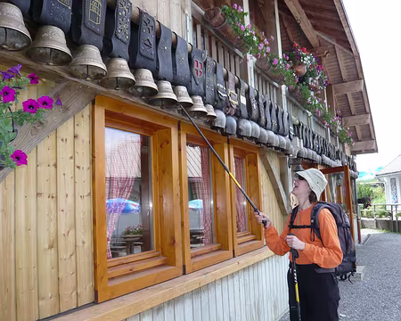 Tournette 020 la reine des ?