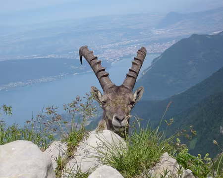 Tournette 097z508 le chef est en planque