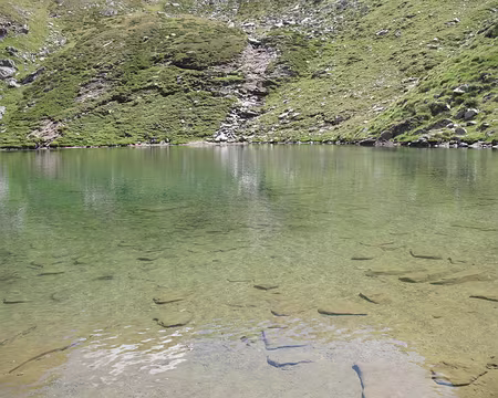 IMG_0429 L'eau limpide du lac de Loie