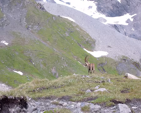 12 en arrivant au col de la Vanoise