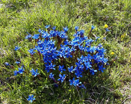 14 en quittant le col de la Vanoise
