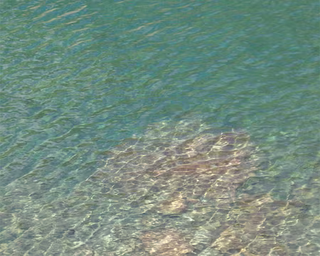 026 Reflets d’égo ?