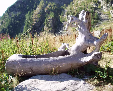 031 Ah ! Les salles de bain italiennes