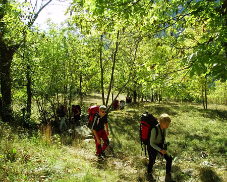 012 En route vers le Plan.