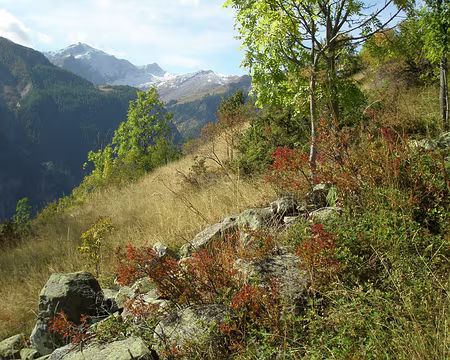 022 Sur le sentier balcon.