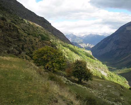 050 Ombres et lumières