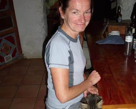 062 Une locale avec son fauve