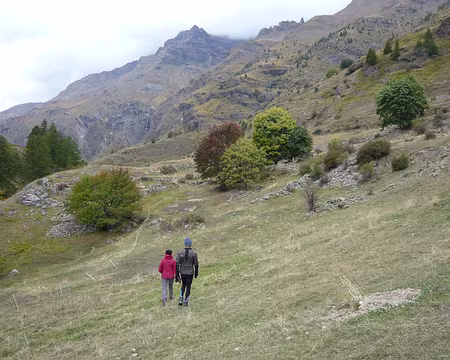066 Certains n'ont pas assez marché.