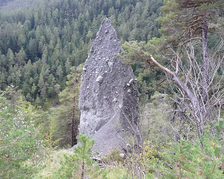 126 Demoiselle décoiffée (qui n'en a plus pour longtemps)