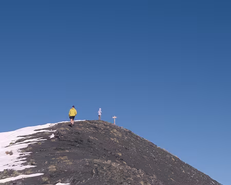 UB070222 Tête de Paneyron