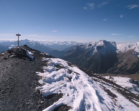 UB070227 Tête de Paneyron