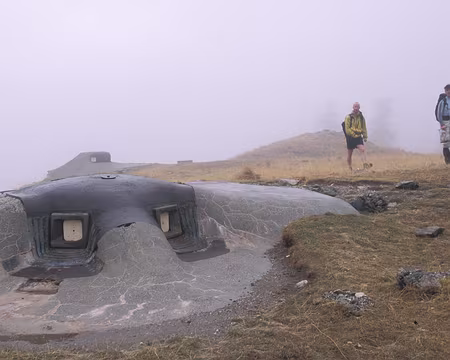 UB070512 C’est une pieuvre ?