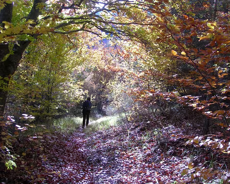 05 VG couleurs d'automne