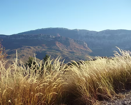 09 00DB0023 28_10 aperçu des crêtes de Lure