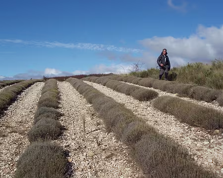 26 00DB0062 un promeneur solitaire