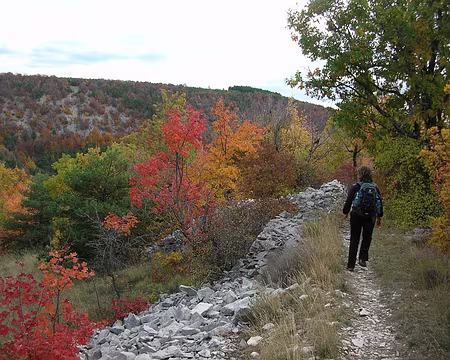 27 049 AJ une promeneuse solitaire
