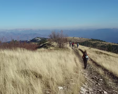 51 00DB0135 sur les crêtes de Lure
