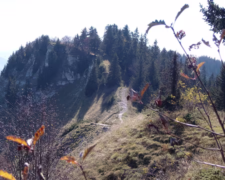 PA140036b le Pas de Bellecombe