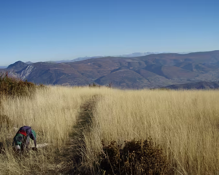 023 Sur la montagne des Tunes (1129m)