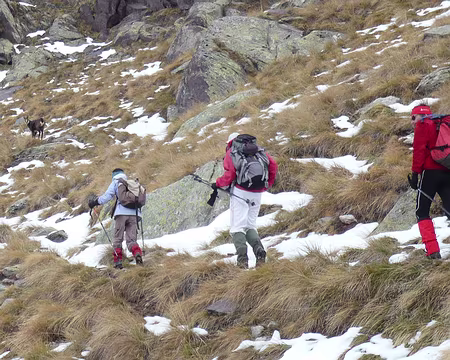 Mercantour 095 Précédés par le chamois du jour.