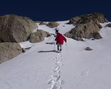 Mercantour 260 Montée à la cime ouest de Fenestre (2660 m)