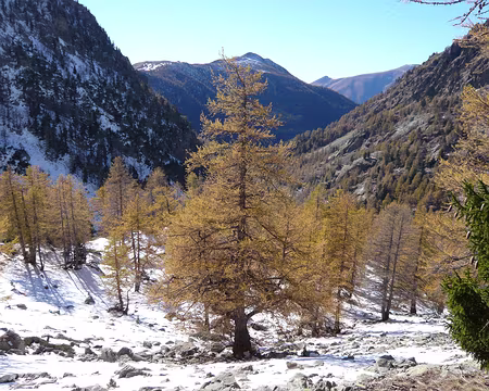 Mercantour 284 Elle aime 