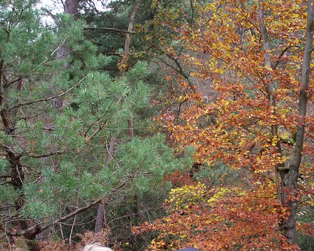 02b Notre guide pour ce tour du massif de Fontainebleau