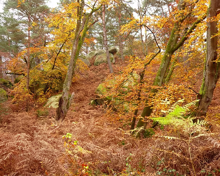 24z532 Un instant de lumiére et tout s'illumine