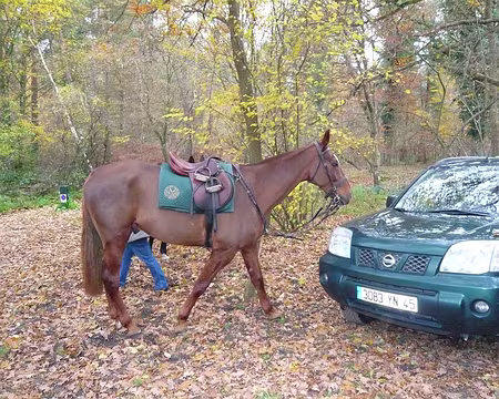 30 cherchez l'intrus...