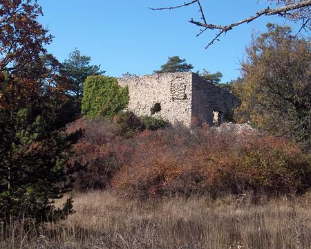 Hpim1642Jas_du_Murier