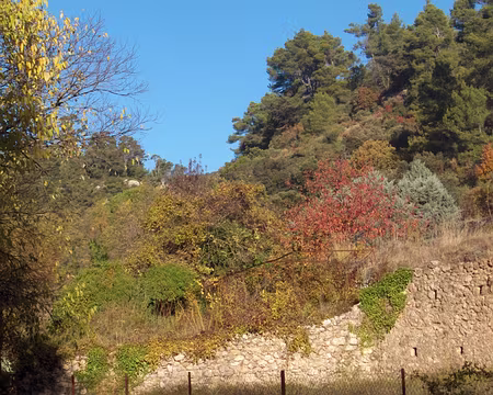 Hpim1698sortie_Signes