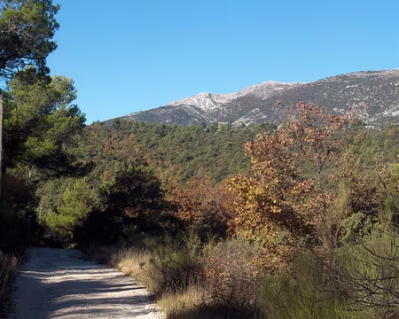 Hpim1715vue_Ste_Baume