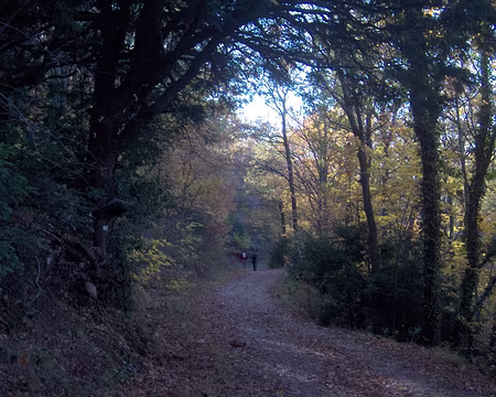 Hpim1781Fontainebleau