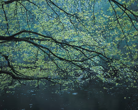 VE070309 La Vézère