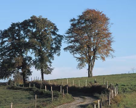 VE070522 Samedi 3 novembre