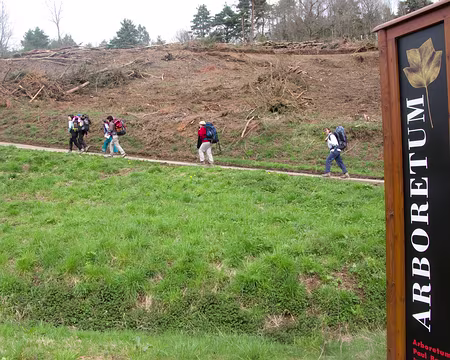 IMG_003 Ils sont où les arbres ?