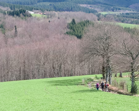IMG_005 Près de Ferrières Sichon
