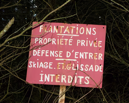 IMG_009 Ce n'est pas du skiage c'est du skating