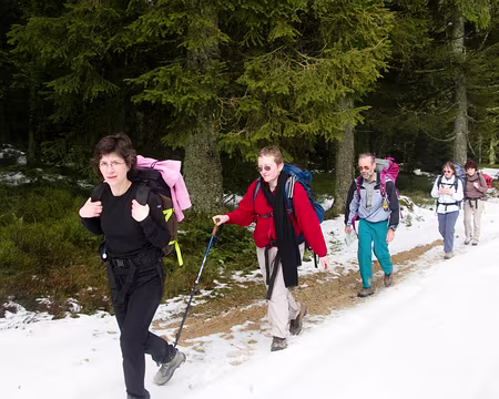 IMG_011 Forêt de Montoncel