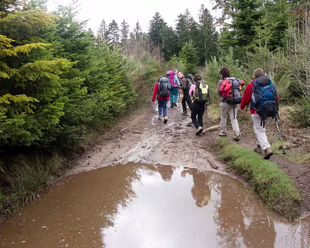 IMG_013 Après le col de Saint Thomas