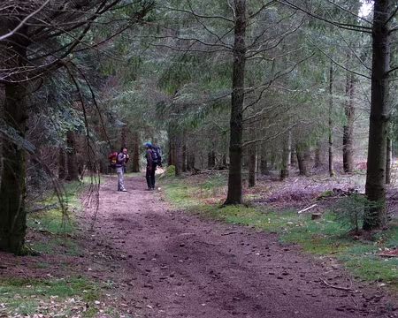 IMG_016a Les Bois Noirs de Noirétable