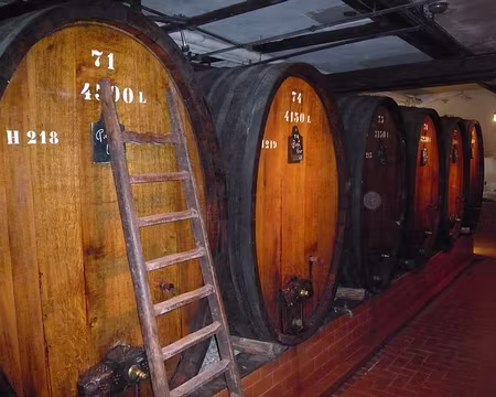 Alsace 079 Ici le terroir s'affine.