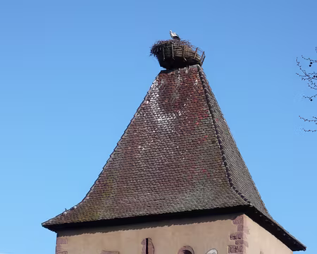 Alsace 103 Le sourire à Turckeim.