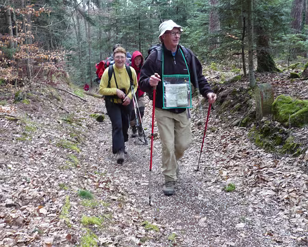 Alsace 127 Et voilà la neige !